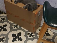 -宁波逸东豪生大酒店·豪生咖啡厅