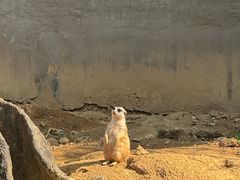 -杭州野生动物世界