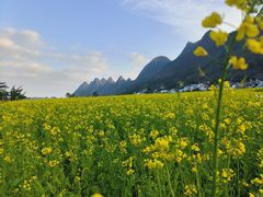 -万峰林风景区