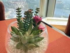 -洲际酒店·凌霄中餐厅SUMMIT