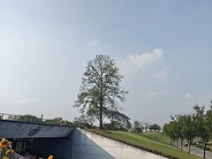 -长白岛森林公园