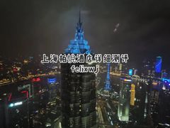 -上海柏悦酒店
