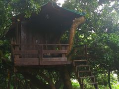 -鹤之洲湿地公园