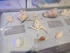 -中国（海南）南海博物馆