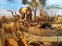 -陕西自然博物馆