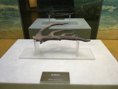 -嘉定博物馆