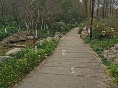 -重庆彩云湖湿地公园
