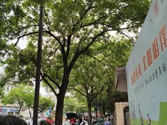 -嘉定紫藤园