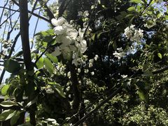 -昆山城市生态森林公园