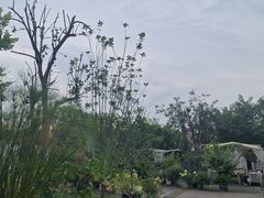 -白鹭湾湿地公园