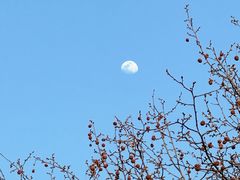 -天鹅湖体育公园