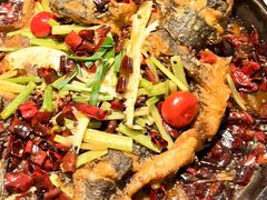 -老板恋上鱼(高新万达店)