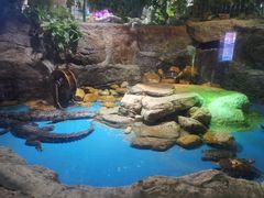 -多彩贵州城极地海洋世界