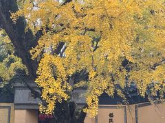 -无锡惠山寺