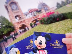 -上海迪士尼度假区