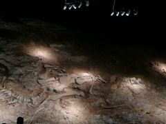 -世界恐龙谷景区