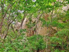 -大岭沟猕猴桃谷风景区
