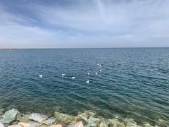 -青海湖国家重点风景名胜区