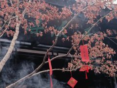 -望江楼公园