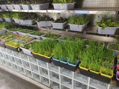 自助调料区-二荆条·蜀鲜汇城市森林火锅