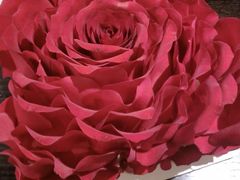 膳麒轩武烤新料理(国贸店)-HIHE Bistro·Oyster Bar(华熙live店)