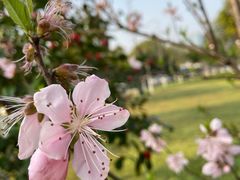 -艾溪湖湿地公园