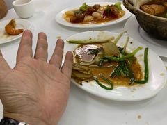-新陶陶酒家