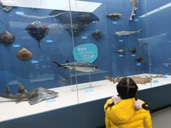 -国家自然博物馆