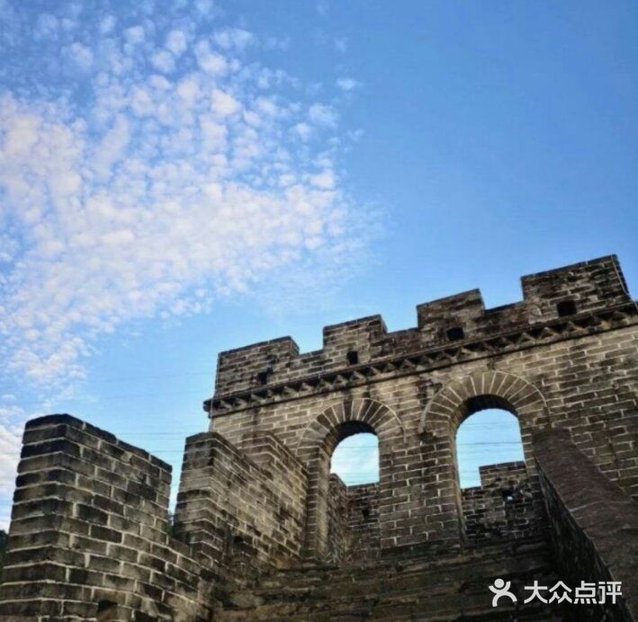 丛林里的探险，谁才是最勇敢的人？