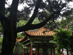 -南岳衡山风景名胜区-南岳大庙