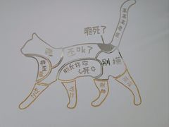 -有喵·猫咖·狗咖·40+猫狗有小奶狗(岗厦店)