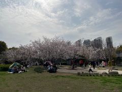 -堤角公园
