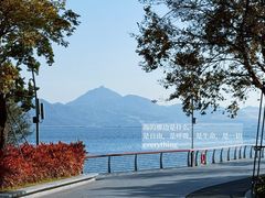 -ommo cafe(半岛城邦店)
