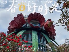 -贵州百里杜鹃风景名胜区