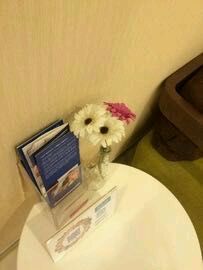 -瑞尔齿科(上海长风大悦城店)