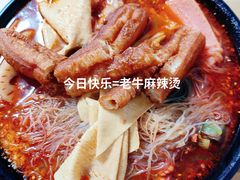 -四川老牛麻辣烫(北门桥店)