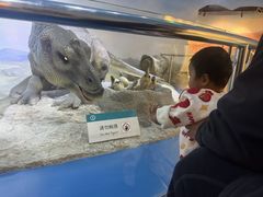 -国家自然博物馆