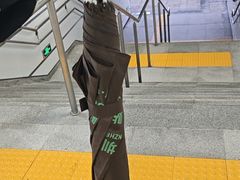 -大剧院(地铁站)