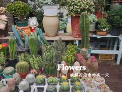 -三圣花乡旅游区