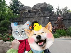 -王二甩老木子鸡(江湾店)