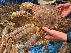 -东海怡品海鲜豆捞(舟宿夜江店)