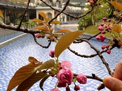 -茅草房·河畔园林火锅