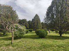 -秦始皇帝陵博物院-丽山园
