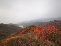 -北京西山国家森林公园