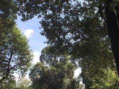 -四川大学(华西校区)