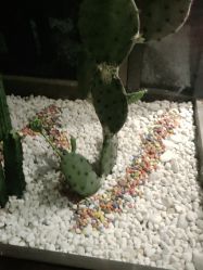 -木北造型