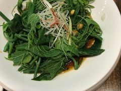 -巴依老爷新疆美食(望京小街店)