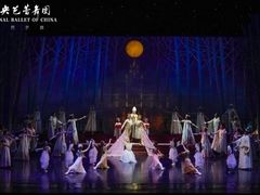 -中央芭蕾舞团·中芭艺蕾(酒仙桥明星校区)