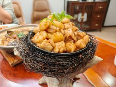 -丁老爷子苏香圆