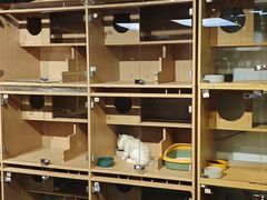 -大型宠物商超·宠海王国·宠物猫狗活体·用品·美容(新世界百货重庆店)